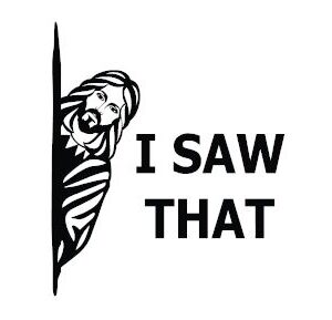 I Saw That Decal